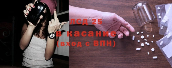 шишки Арсеньев