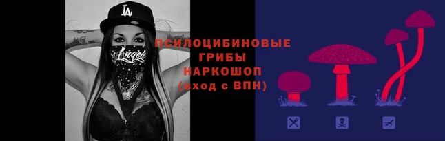 шишки Арсеньев