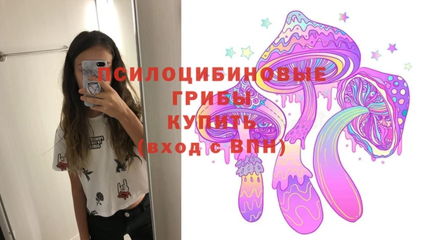 мдпв Армянск