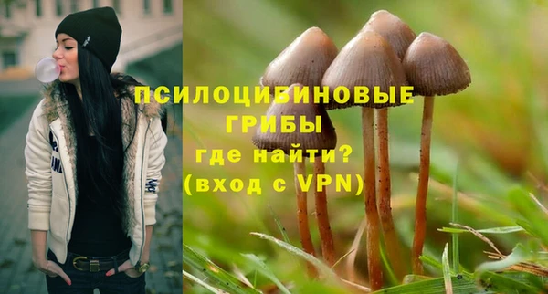 мет Баксан