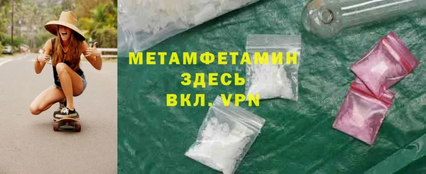 шишки Арсеньев